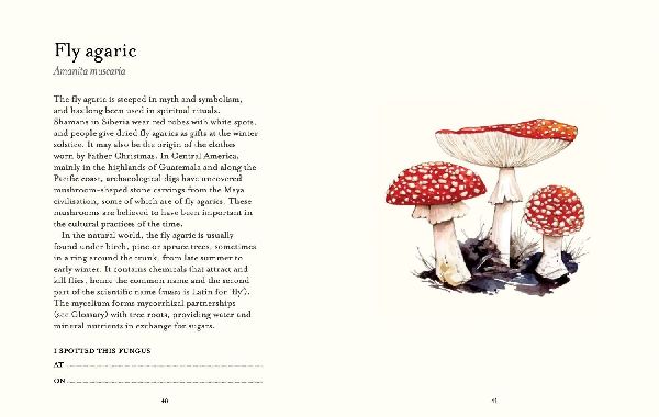 The Fungi Spotter's Guide