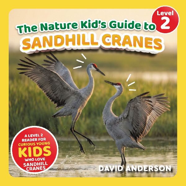 The Nature Kid's Guide to Sandhill Cranes