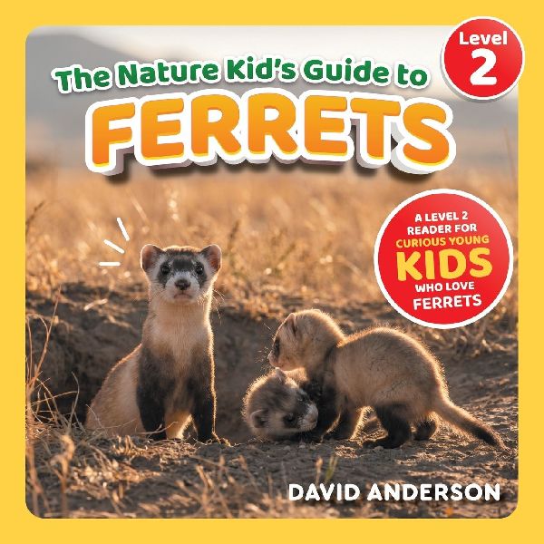The Nature Kid's Guide to Ferrets