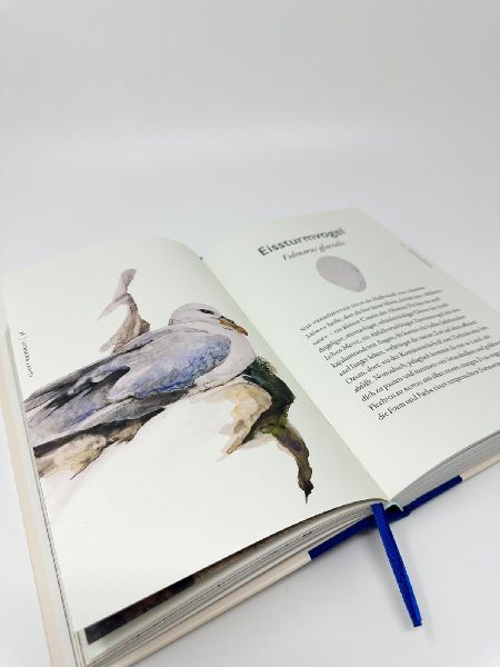 Das Buch der Vögel