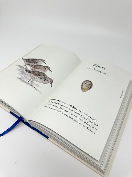 Das Buch der Vögel