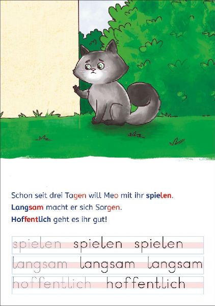 Leselöwen - Lesen und schreiben lernen mit Spurrillen - Die Katzen-Detektive
