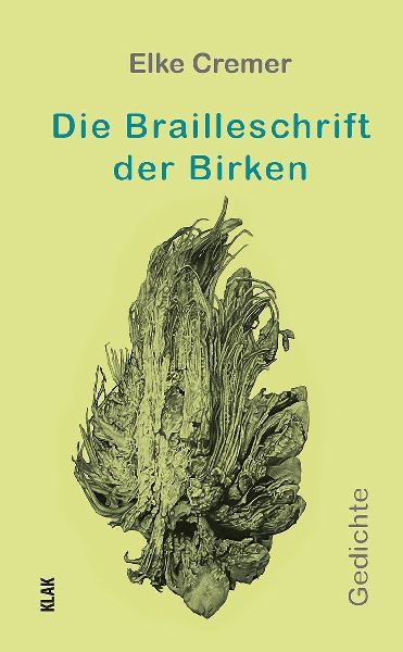 Die Brailleschrift der Birken