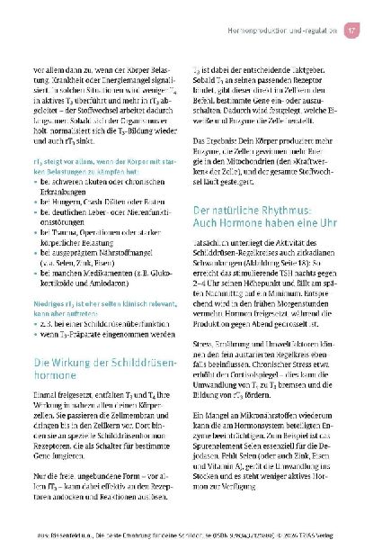 Die beste Ernährung für deine Schilddrüse