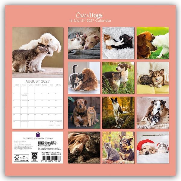 Cats and Dogs - Katzen und Hunde 2027 - 16-Monatskalender