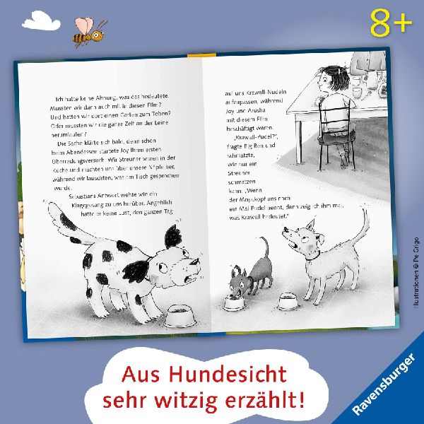 3 Streuner werden Filmstars
