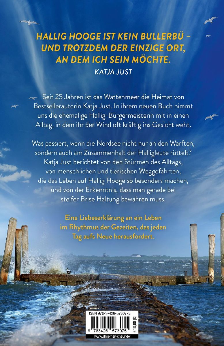 Gegenwind auf dem Sommerdeich