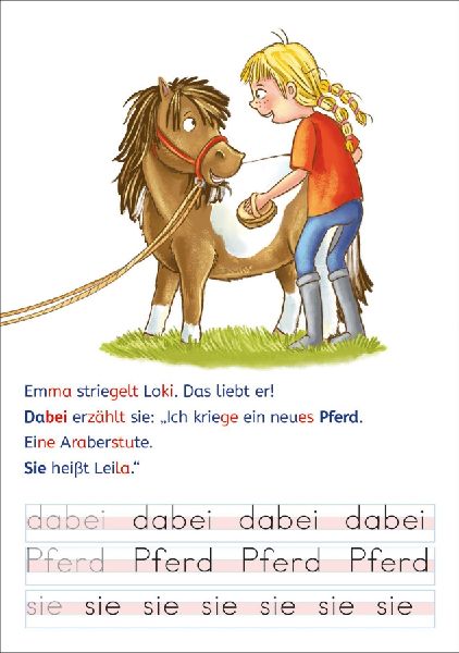 Leselöwen - Lesen und schreiben lernen mit Spurrillen - Eine ponystarke Freundschaft