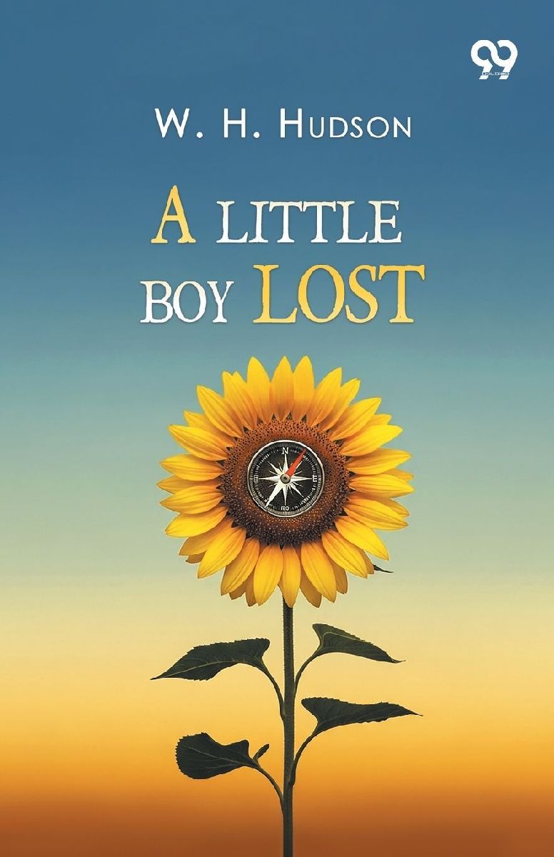 A Little Boy Lost