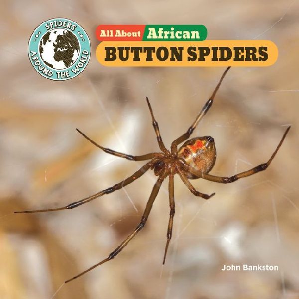 All about African Button Spiders