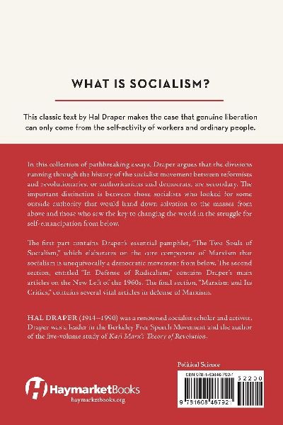 Socialism from Below
