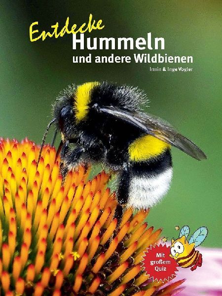 Entdecke Hummeln und andere Wildbienen