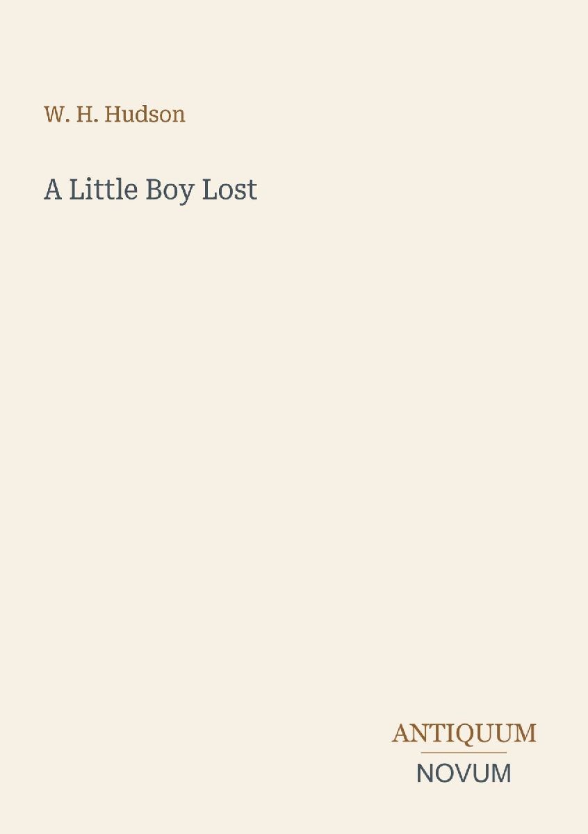 A Little Boy Lost