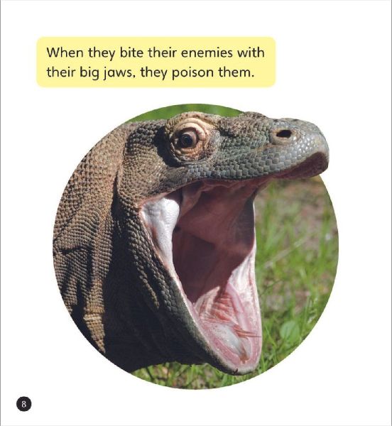 Real-life Monsters (Set 10)