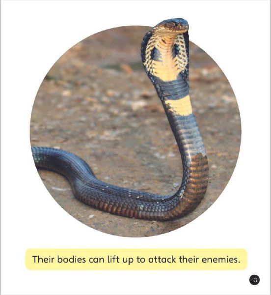 Real-life Monsters (Set 10)