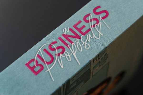 A Business Proposal 1