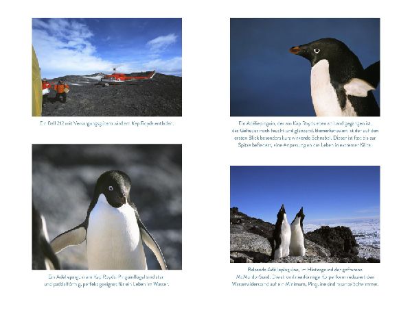 Die Pinguinforscherin