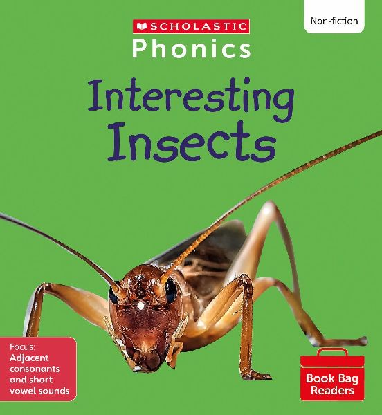 Interesting Insects (Set 7)
