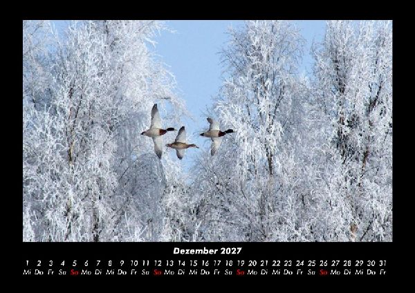 Winterzauber 2027 Fotokalender DIN A3