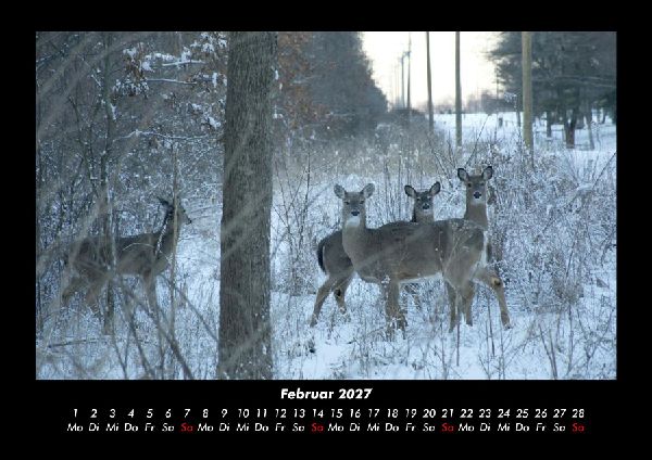 Winterzauber 2027 Fotokalender DIN A3