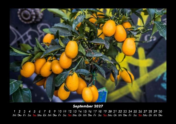 Barcelona 2027 Fotokalender DIN A3
