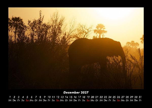 Elefanten 2027 Fotokalender DIN A3