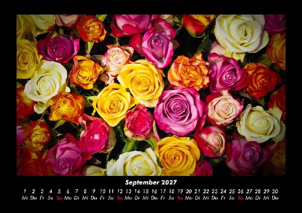 Rosen-Kalender 2027 Fotokalender DIN A3