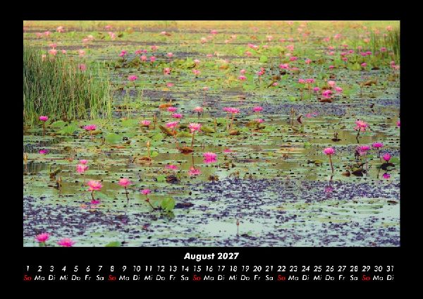 Rosen-Kalender 2027 Fotokalender DIN A3