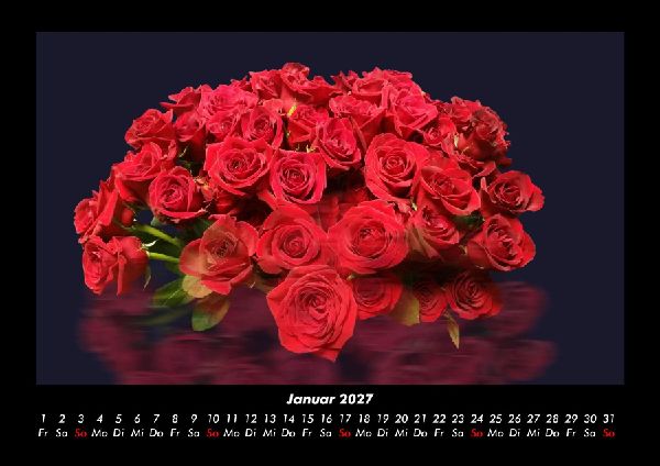 Rosen-Kalender 2027 Fotokalender DIN A3