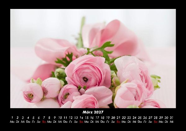 Rosen-Kalender 2027 Fotokalender DIN A3