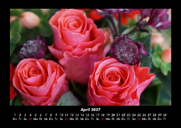 Rosen-Kalender 2027 Fotokalender DIN A3