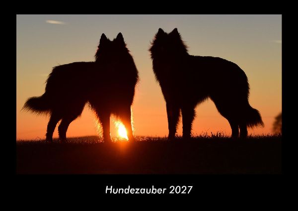 Hundezauber 2027 Fotokalender DIN A3