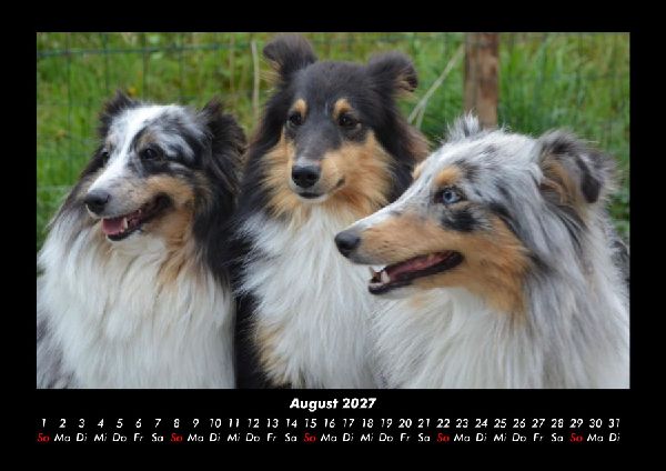 Hundezauber 2027 Fotokalender DIN A3