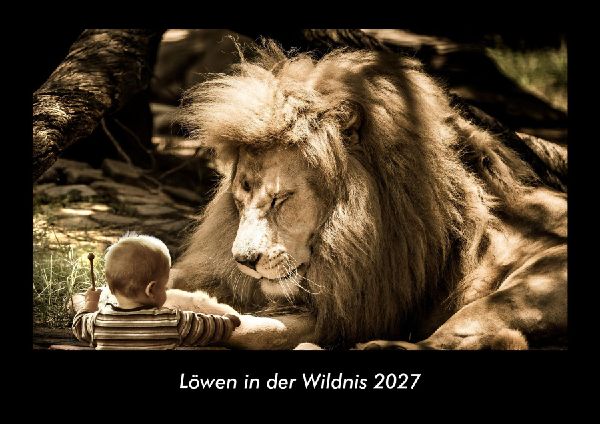 Löwen in der Wildnis 2027 Fotokalender DIN A3