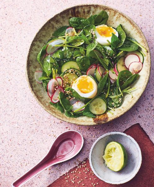 Diabetes Expressrezepte