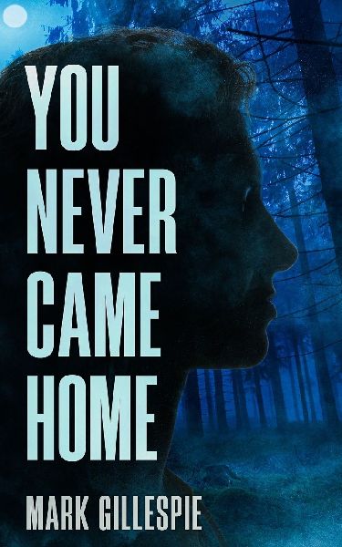 You Never Came Home