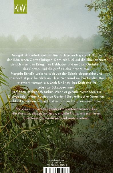 Flusslinien