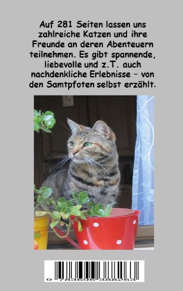 Coole Samtpfoten