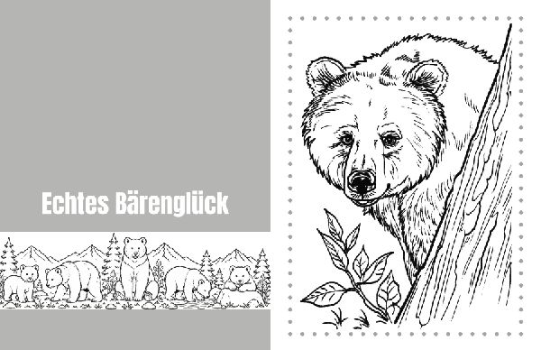 Bärenträume - Entspannung - Natur - Achtsamkeit