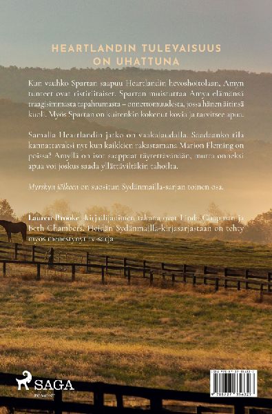 Myrskyn jälkeen
