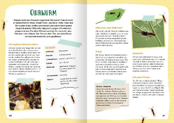 Herzlich willkommen im Insektenhotel