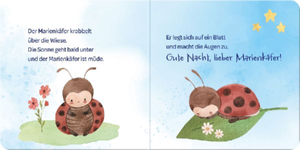 Ich sag Gute Nacht ...