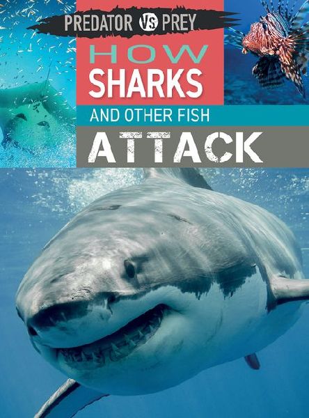 How Sharks and Other Fish Attack