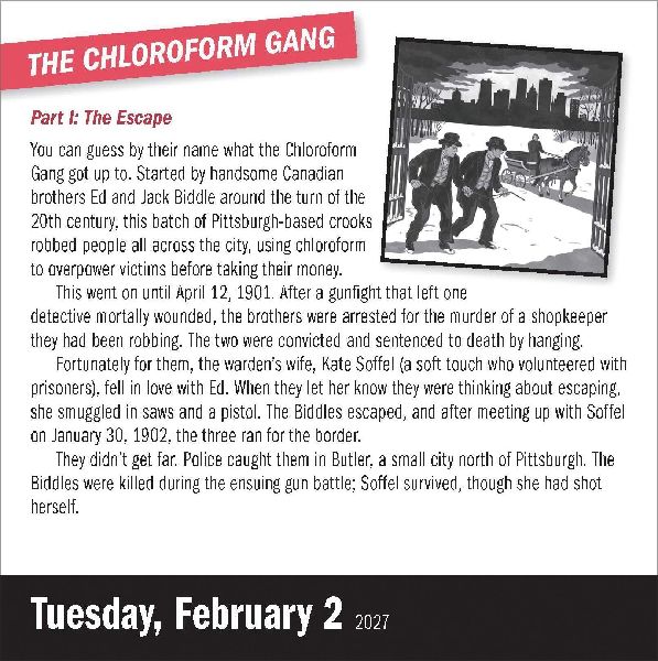 A Year of True Crime Page-A-Day® Calendar 2027