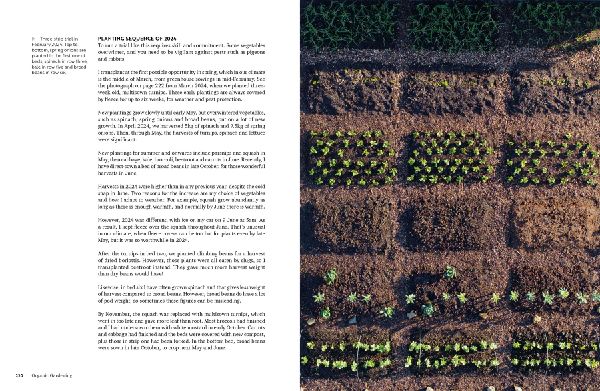 Organic Gardening