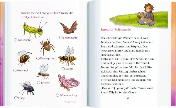 Ponyhof Brombeerwald (Erstlesebuch, 