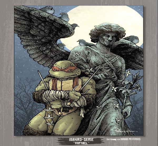 Teenage Mutant Ninja Turtles Splitter Collection 13