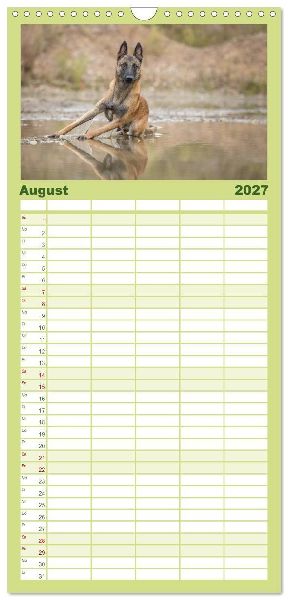 Familienplaner 2027 - Belgischer Schäferhund - Der Malinois mit 5 Spalten (Wandkalender, 21 x 45 cm) CALVENDO