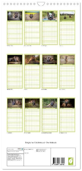 Familienplaner 2027 - Belgischer Schäferhund - Der Malinois mit 5 Spalten (Wandkalender, 21 x 45 cm) CALVENDO