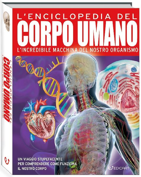 L' enciclopedia del corpo umano